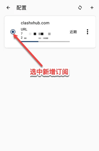 Clash Meta for Android で設定を有効にする画面